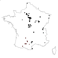 Avenula pubescens (Huds.) Dumort. - carte des observations