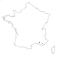 Michelaria villosa Strail - carte des observations