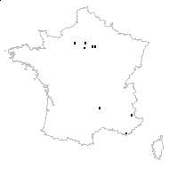 Bromus carinatus Hook. & Arn. - carte des observations