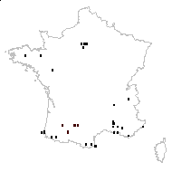 Bromus breviaristatus (Hook.) Thurb. - carte des observations