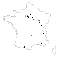 Bromus commutatus Schrad. subsp. commutatus - carte des observations