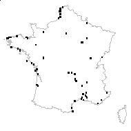 Bromus hordeaceus subsp. thominei (Hardouin) Braun-Blanq. - carte des observations