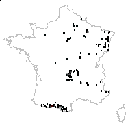 Calamagrostis silvatica var. pyramidalis (Host) Mutel - carte des observations