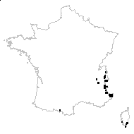 Calamagrostis tenella Host - carte des observations