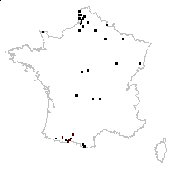 Glyceria airoides (Koeler) Rchb. - carte des observations