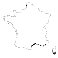 Festuca robusta Mutel - carte des observations