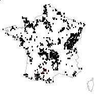 Cynosurus cristatus var. polybracteatus (Poir.) Coss. & Durieu - carte des observations