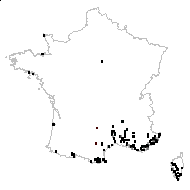 Cynosurus echinatus L. - carte des observations