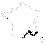 Dactylis glomerata var. dasyphylla Domin - carte des observations