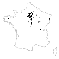 Aira cespitosa subsp. parviflora (Thuill.) Schübler & G.Martens - carte des observations