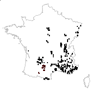 Digitaria collina Salisb. - carte des observations