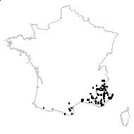 Cirsium monspessulanum (L.) Hill - carte des observations
