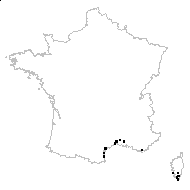 Elytrigia elongata (Host) Nevski subsp. elongata - carte des observations