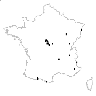 Aethusa cynapium subsp. elata (Friedl.) Schübler & G.Martens - carte des observations