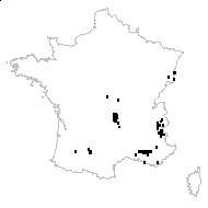 Elytrigia intermedia (Host) Nevski subsp. intermedia - carte des observations