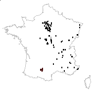 Eragrostis pilosa var. minor (Host) Kuntze - carte des observations