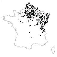 Cirsium variabile Moench - carte des observations