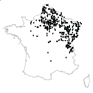 Cirsium frayi Gand. - carte des observations