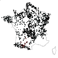 Cirsium palustre (L.) Scop. - carte des observations