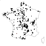 Festuca finitima Gand. - carte des observations