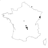 Festuca heteropachys (St.-Yves) Patzke ex Auquier - carte des observations