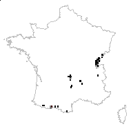 Cirsium rivulare (Jacq.) All. - carte des observations