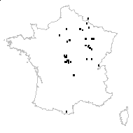 Festuca pictaviensis Gand. - carte des observations