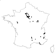 Hordeum vulgare convar. Distichon  - carte des observations