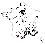 Hordeum ciliatum Gilib. - carte des observations