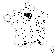 Hordeum vulgare L. - carte des observations