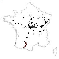 Leersia oryzoides (L.) Sw. - carte des observations