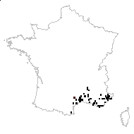 Melica ciliata subsp. magnolii (Godr. & Gren.) K.Richt. - carte des observations