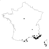 Melica minuta L. - carte des observations