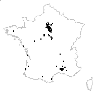 Acer negundo L. subsp. negundo - carte des observations