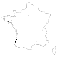 Erigeron floribundus (Kunth) Sch.Bip. - carte des observations