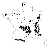 Nardus stricta L. - carte des observations