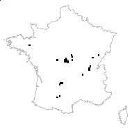 Panicum dichotomiflorum Michx. - carte des observations