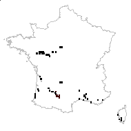 Paspalum michauxianum Kunth - carte des observations