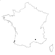 Sanguinaria vaginata (Sw.) Bubani - carte des observations