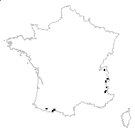 Phleum rhaeticum (Humphries) Rauschert - carte des observations