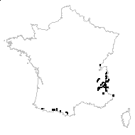 Poa alpina L. subsp. alpina - carte des observations