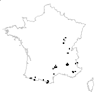 Poa badensis Haenke ex Willd. - carte des observations
