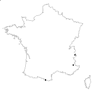 Poa cenisia All. var. cenisia - carte des observations