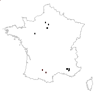 Ammi dilatatum St.-Lag. - carte des observations