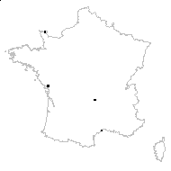 Puccinellia fasciculata (Torr.) E.P.Bicknell - carte des observations