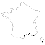 Puccinellia palustris (Seenus) Grossh. - carte des observations