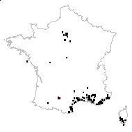 Rostraria cristata (L.) Tzvelev - carte des observations