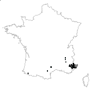 Sesleria argentea (Savi) Savi - carte des observations