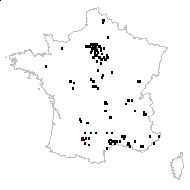 Panicum aparine Steud. - carte des observations