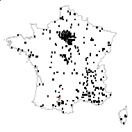 Setaria viridis (L.) P.Beauv. - carte des observations